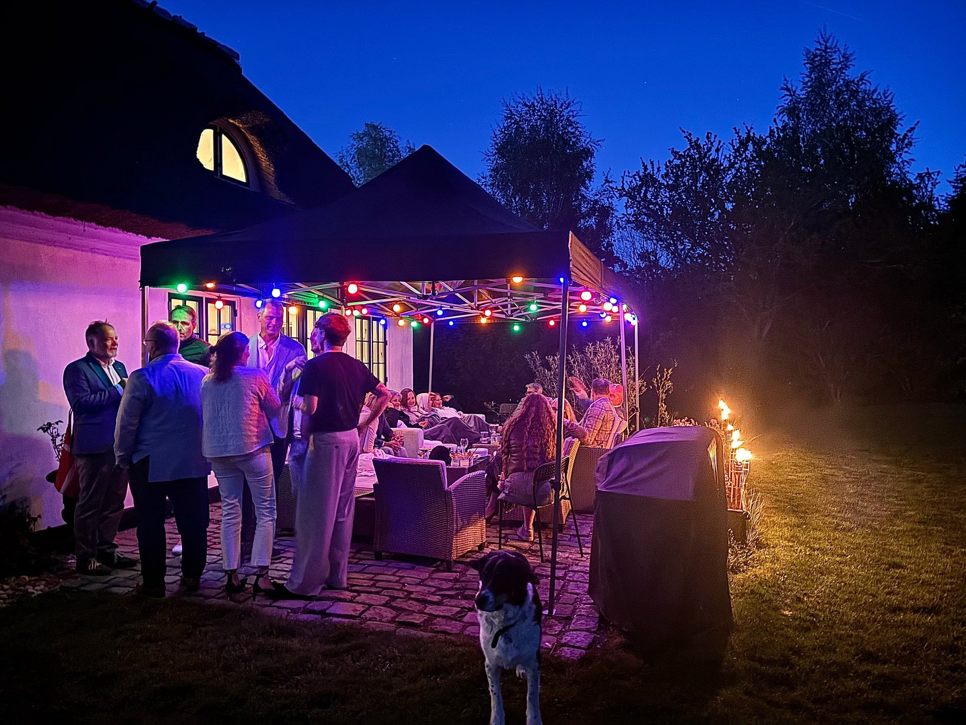 Udendørs aftenevent med farverige neonlys og gæster under pergola